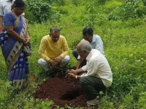 Tree-Plantation-BJP